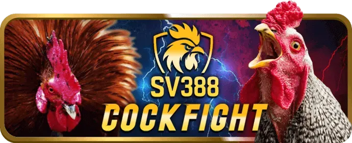 Tin tức Casino 18win